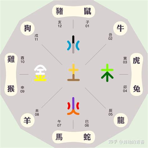 龍 五行|生肖屬龍人的五行與財運